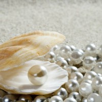 Caribbean pearl inside clam shell over white sand beach